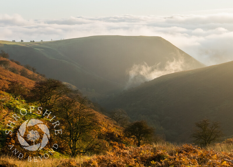 Autumn colours at New Pool Hollow on the Long Mynd, Shropshire.