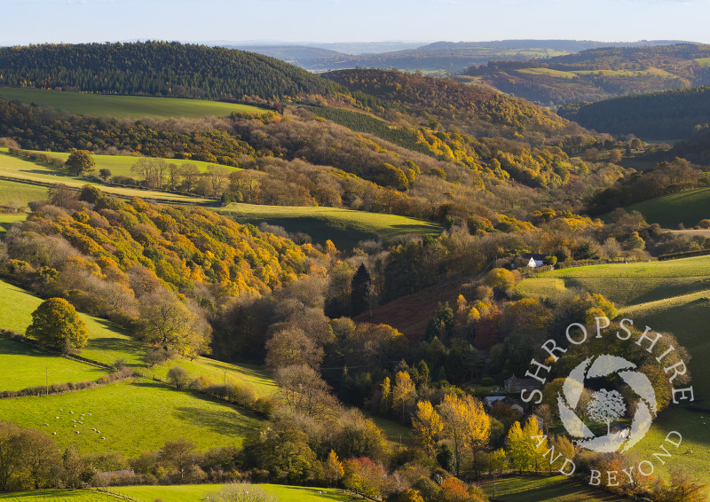 The Clun Valley, with the hamlet of Obley, seen from Black Hill, Shropshire.