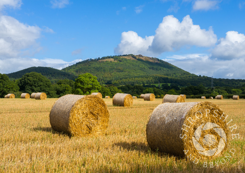 Harvest time beneath the Wrekin in Shropshire.