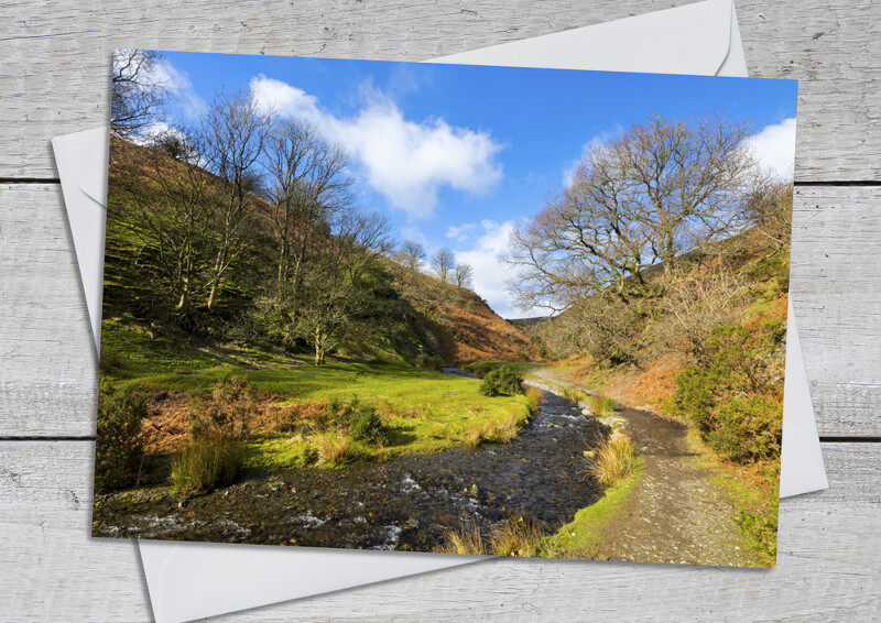 Quinny Brook in Ashes Hollow, near Little Stretton, Shropshire.