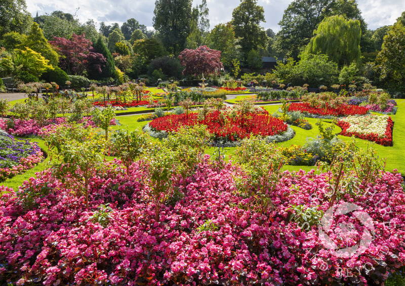 The Dingle in summertime, Shrewsbury, Shropshire.