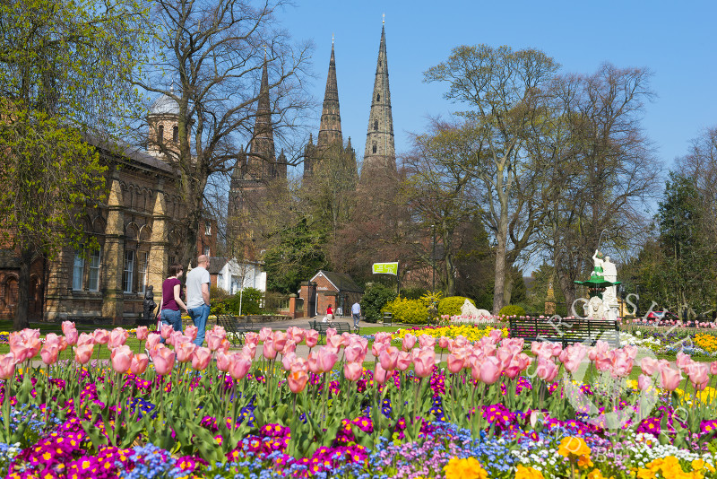 Springtime in Beacon Park, Lichfield, Staffordshire, England.