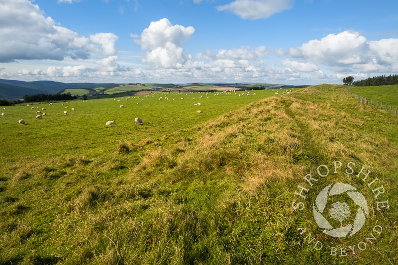 Offa's Dyke near Knighton, Powys, Wales. This earthwork boundary was built along the Anglo-Welsh border by Offa, King of Mercia, probably during the 780s. 