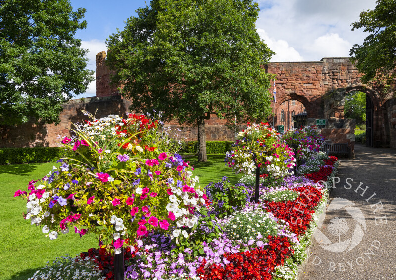 Flowers outside Shrewsbury Castle, Shropshire.