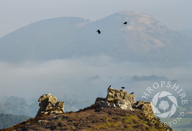 The view from Habberley Rocks on the Stiperstones, looking towards Earl's Hill, Shropshire.