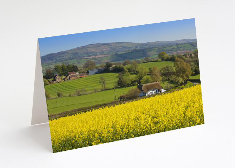 Thatched cottage beneath Brown Clee, Shropshire.