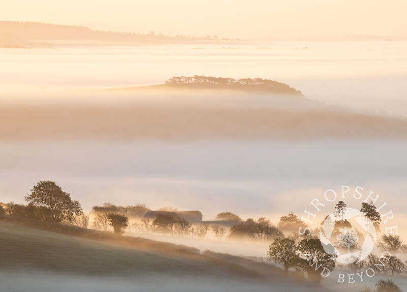 Clunbury Hill in a sea of mist, seen from Bury Ditches, Shropshire.