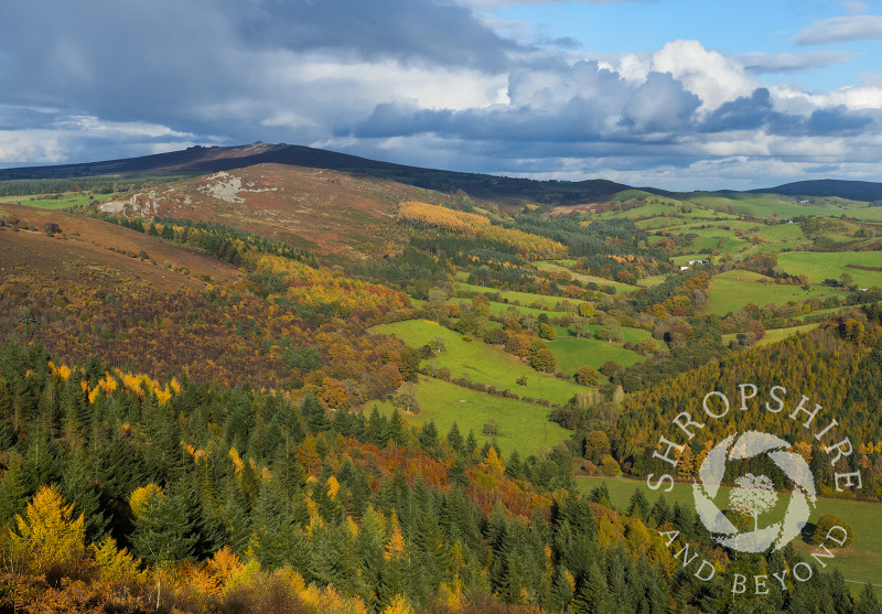 A view of the Shropshire countryside in autumn seen from Heath Mynd, with the Stiperstones on the horizon.