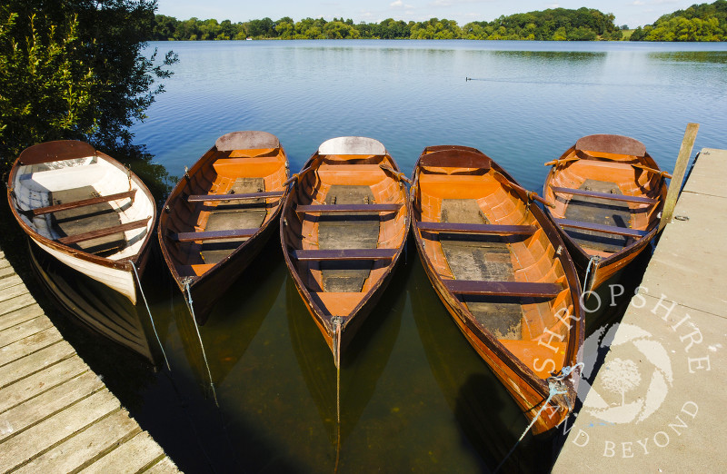 Rowing boats moored on the Mere at Ellesmere, Shropshire, England.