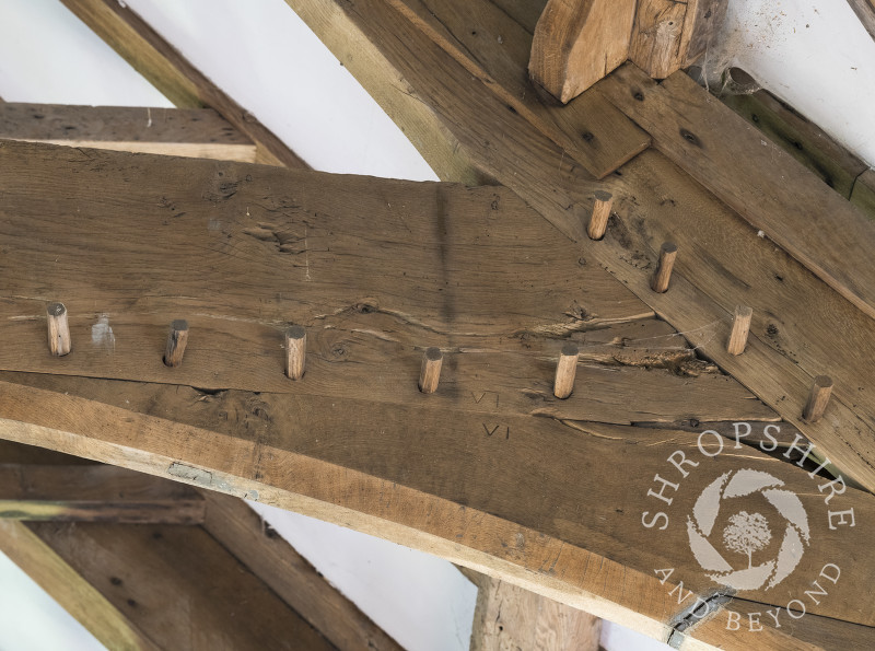 Wooden pegs in a roof joint of St Michael and All Angels Church, Smethcote, Shropshire.