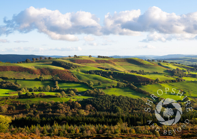 Linley Hill seen from the Stiperstones, Shropshire.