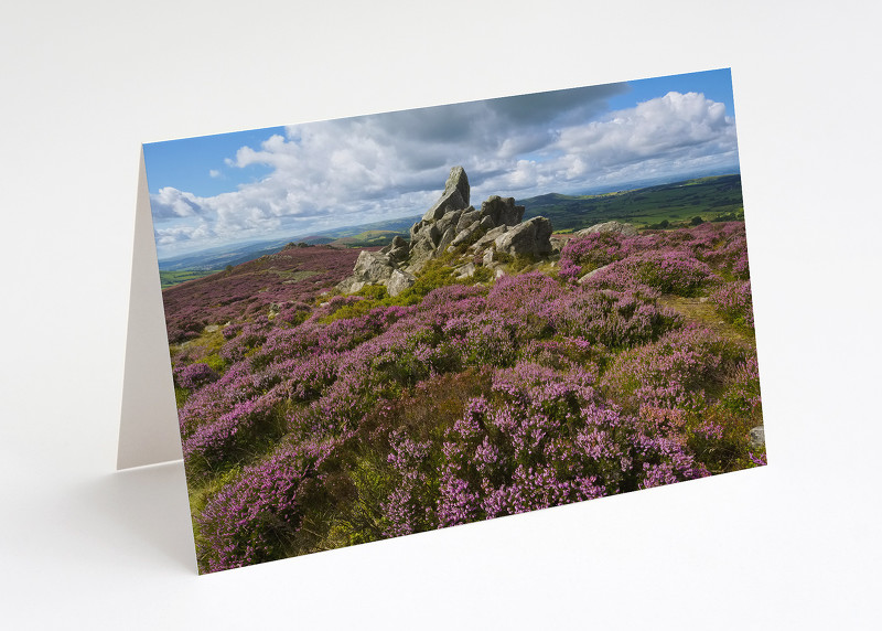 Diamond Rock on the Stiperstones, Shropshire.