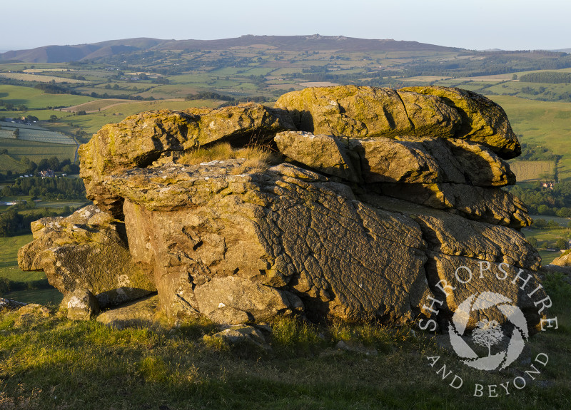 A rock formation on Corndon Hill, Powys, bathed in warm evening sunlight, with the Stiperstones, Shropshire, seen on the horizon.
