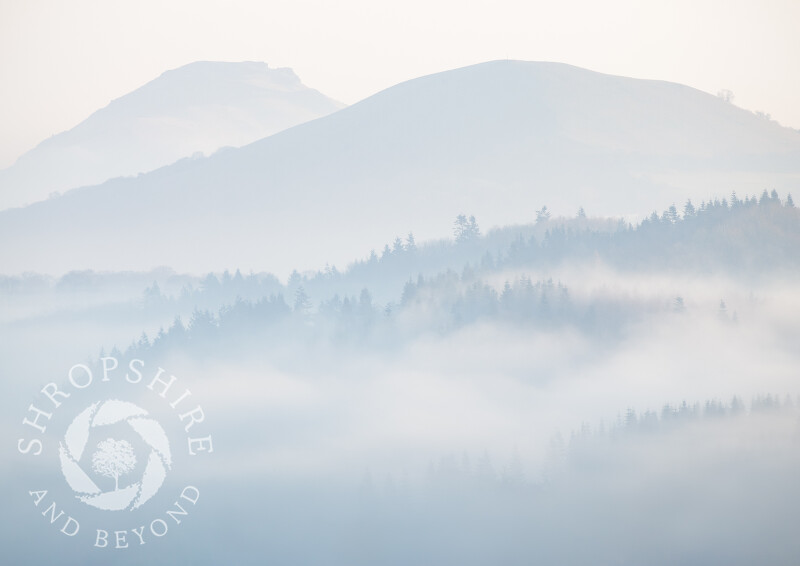 Caer Caradoc and Ragleth rise above the swirls of early morning mist in south Shropshire.
