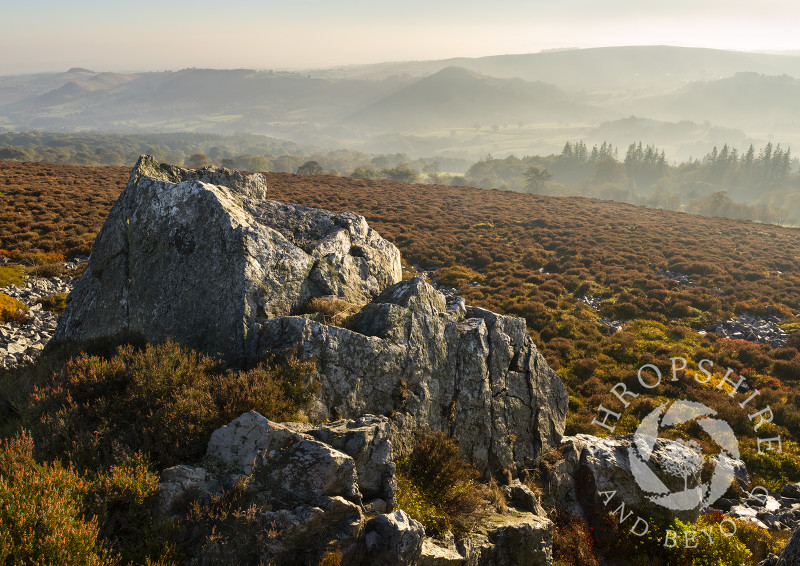 The view from Habberley Rocks on the Stiperstones, looking towards the Long Mynd, Shropshire.