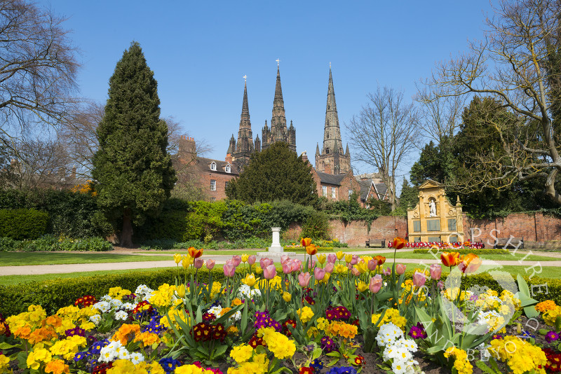 The three spires of Lichfield Cathedral seen from the Garden of Remembrance in spring, Lichfield, Staffordshire, England.