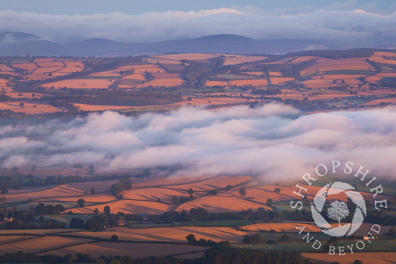 Mist over golden fields in Corvedale at sunrise from Titterstone Clee.