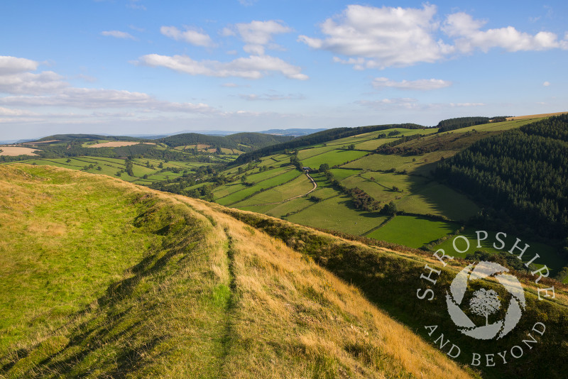 Autumn sunshine on Caer Caradoc Iron Age hill fort near Chapel Lawn, Clun, Shropshire.