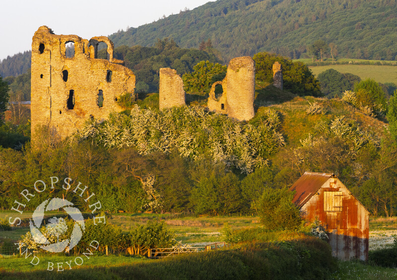 Evening light at Clun Castle in south Shropshire.