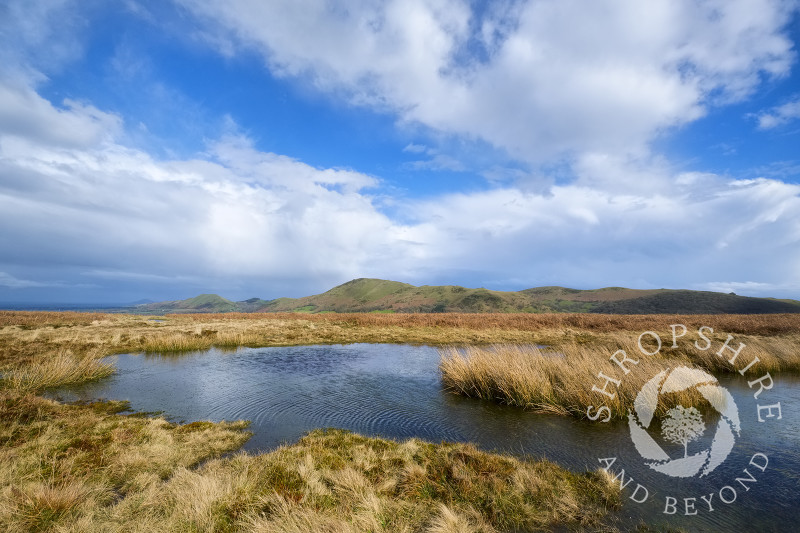 A pool on the Long Mynd with Caer Caradoc and the Lawley, Shropshire.