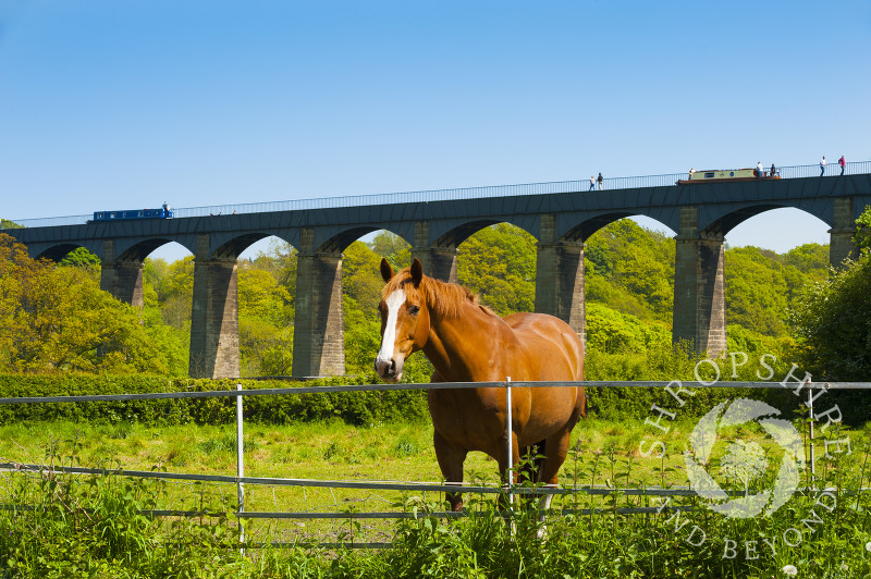 Canal boats passing along Pontcysyllte Aqueduct in the Welsh countryside.