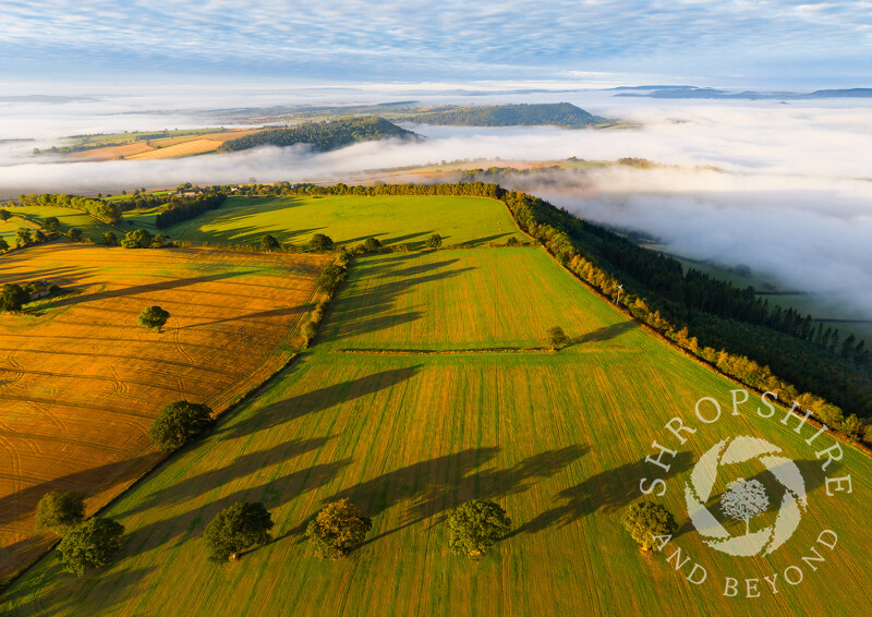 Early morning shadows on Callow Hill, near Craven Arms, Shropshire.