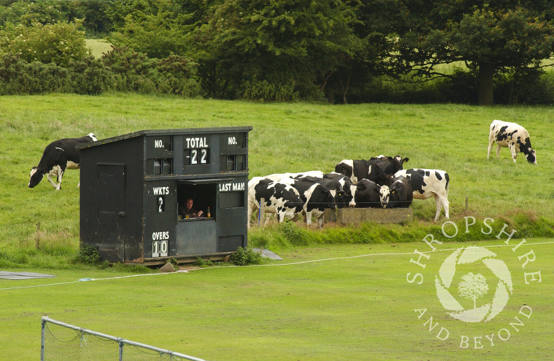 Welsh Frankton Cricket Club, Hardwick Hall, Shropshire, England