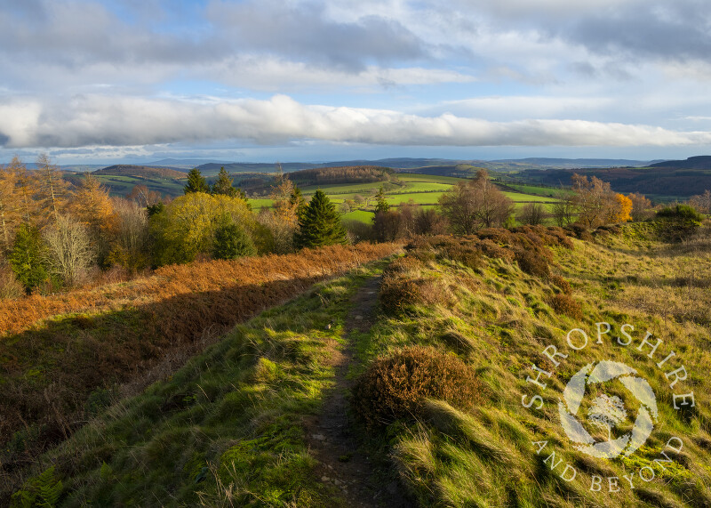 The view along the ramparts of Bury Ditches Iron Age hill fort, near Clunton, Shropshire.