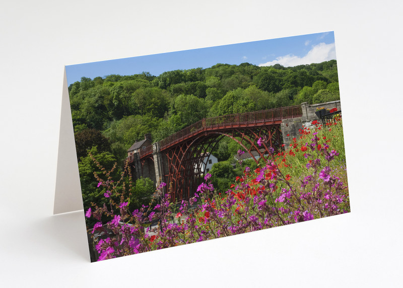 Wildflowers near the Iron Bridge, Shropshire.