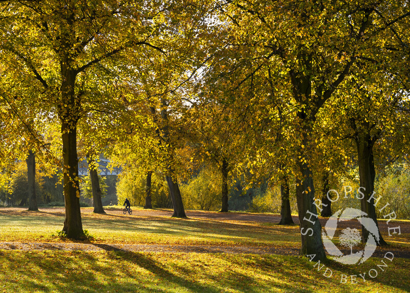 Autumn in the Quarry. Shrewsbury, Shropshire.