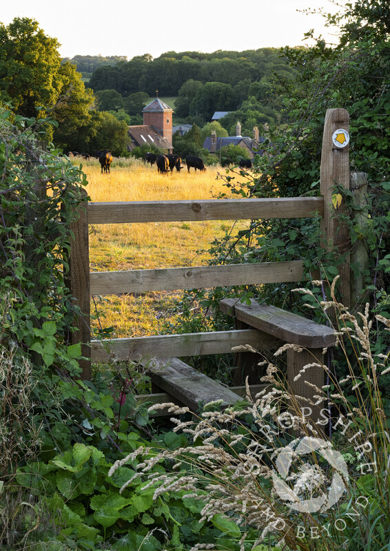 A stile at Hopton Cangeford looking to the Old Church, Shropshire.