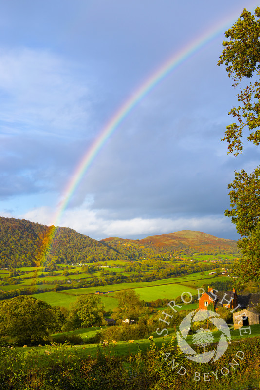 An autumn rainbow in front of the Breidden Hills, Powys, Wales.