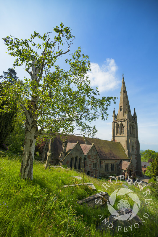 Gravestones in the churchyard at All Saints Church, Clive, near Grinshill, Shropshire, England.