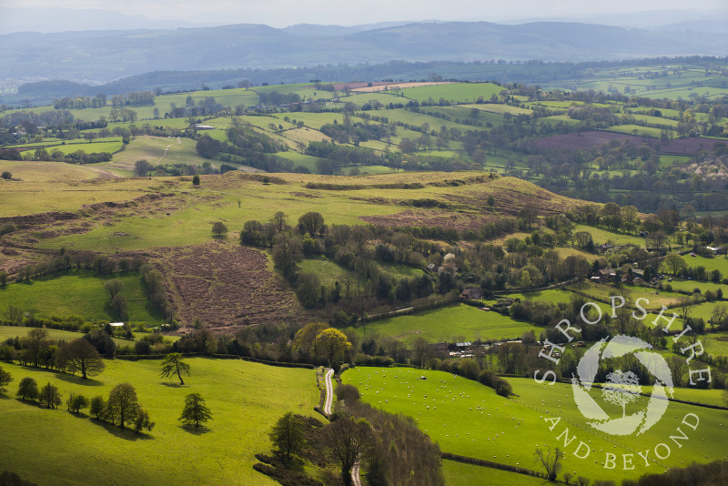 Nordy Bank Iron Age hill fort seen from the Shropshire Way, Brown Clee Hill, Shropshire, England.