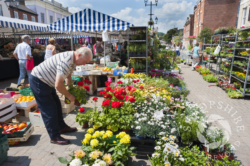 Flowers and plants on sale at the street market in Ludlow, Shropshire.