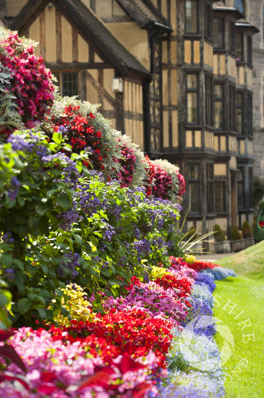 A display of flowers outside the entrance to Shrewsbury Castle, Shropshire, England.