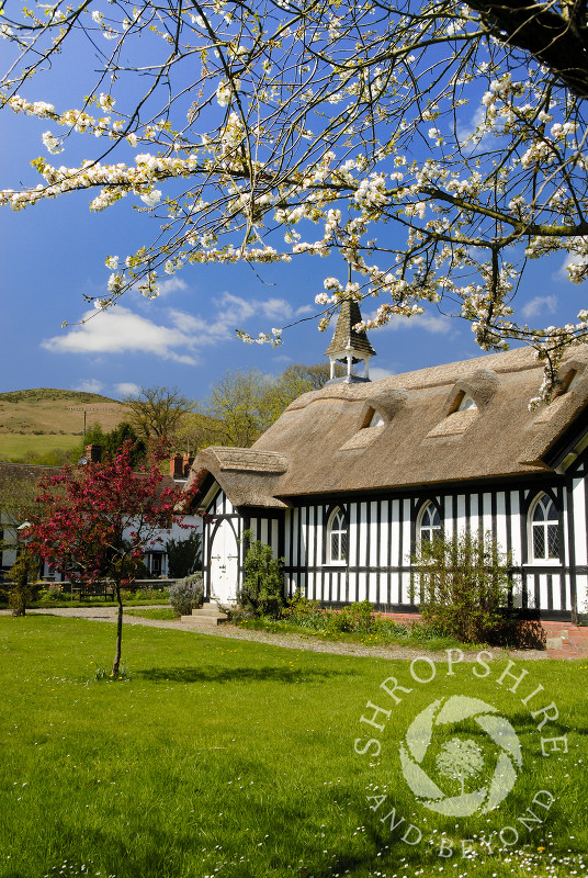 All Saints' Church in spring, Little Stretton, Shropshire.