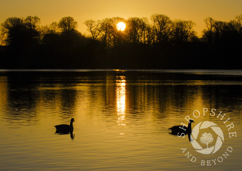 Sunrise over the Mere at Ellesmere, Shropshire, England.
