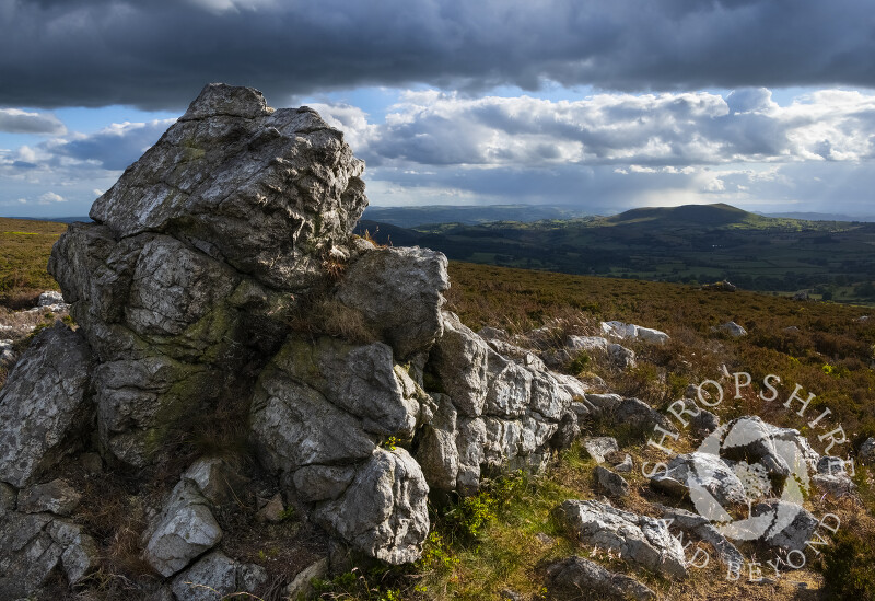 Evening light on the south Shropshire landscape, seen from the Stiperstones, Shropshire.