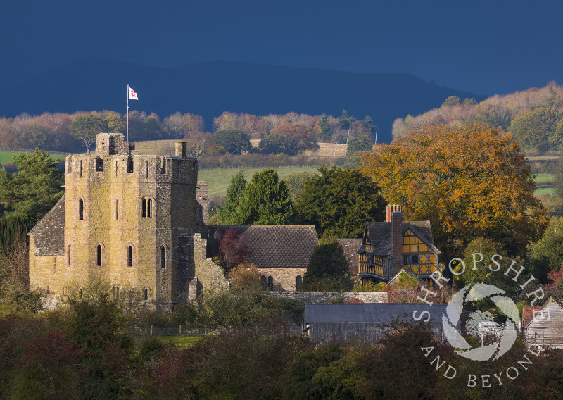 Autumn sunshine on Stokesay Castle with Ragleth Hill in the background, Shropshire.