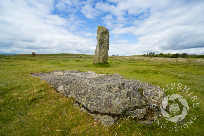 A view of Mitchell's Fold stone circle, Stapeley Hill, near Priest Weston, Shropshire.