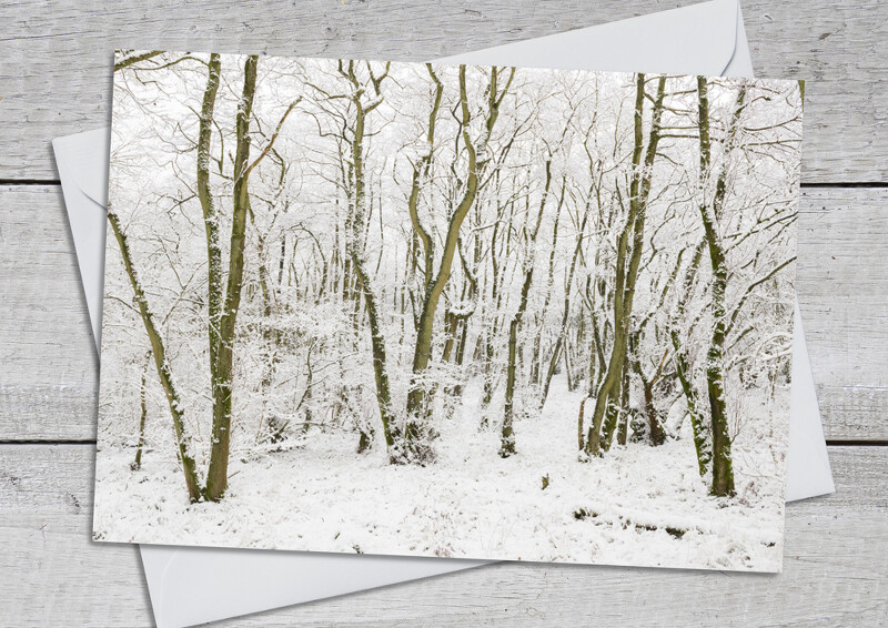 Winter on Helmeth Hill, Shropshire