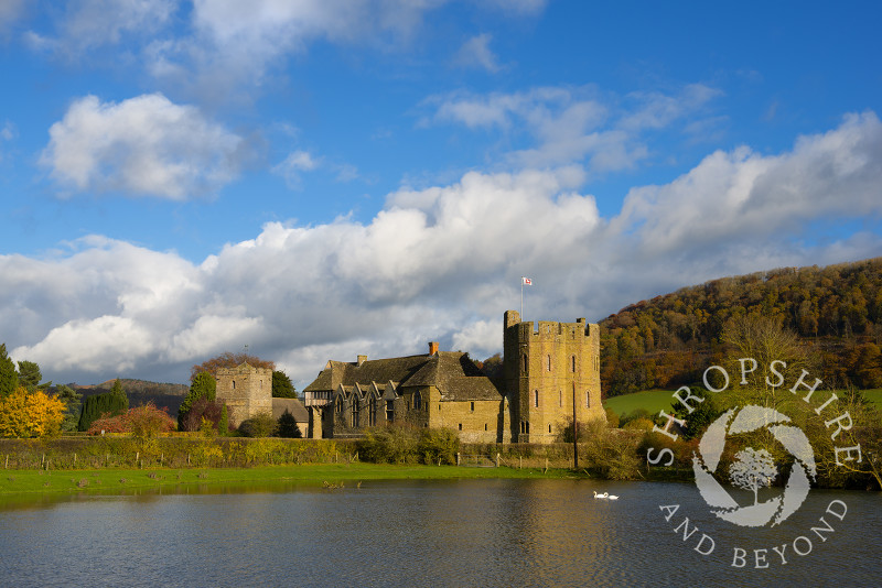 Swans glide past the fortified medieval manor house of Stokesay Castle in autumn, Shropshire.