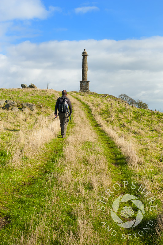 A walker on Breidden Hill near Rodney's Pillar, Powys, Wales.