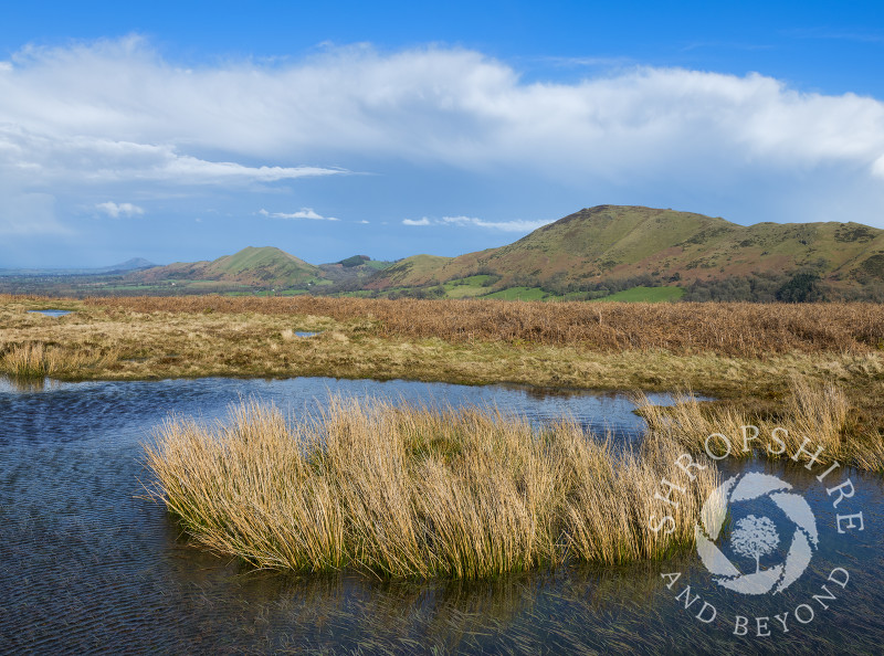 A pool on the Long Mynd with Caer Caradoc and the Lawley, Shropshire.