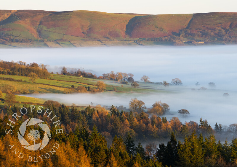 Looking across mist at sunset from Heath Mynd to the Long Mynd, Shropshire.