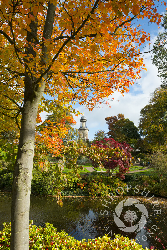 Vibrant autumn colours in the Dingle, Shrewsbury, Shropshire.