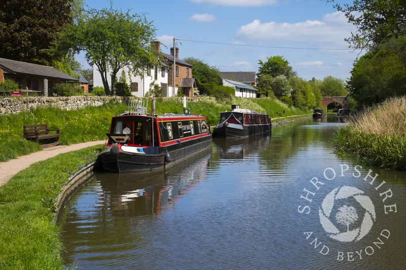 Canal boats moored on the Whitchurch arm of the Llangollen Canal in Shropshire.