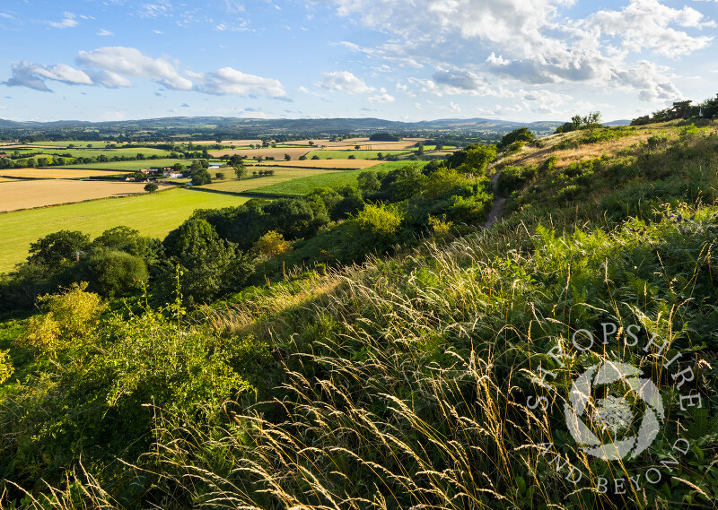 The view south from Lyth Hill, Shropshire, with The Long Mynd and Stiperstones on the horizon.