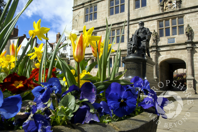 Charles Darwin statue outside Shrewsbury library, Shropshire, England.